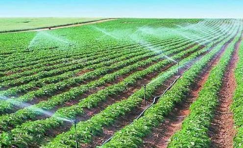 久久永久在线五月农田高 效节水灌溉